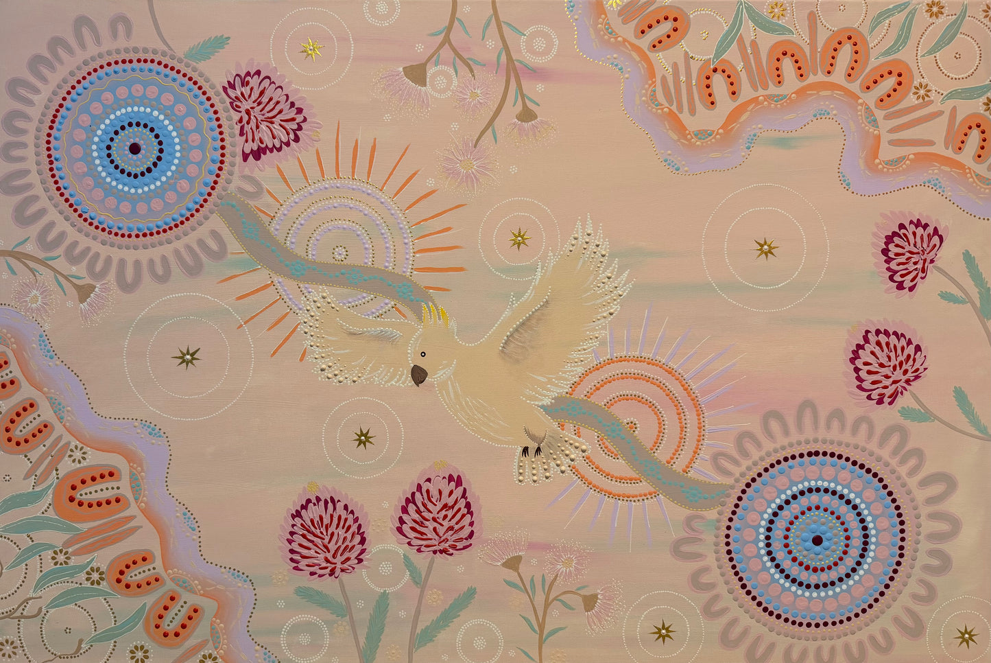 Cockatoo Dreaming