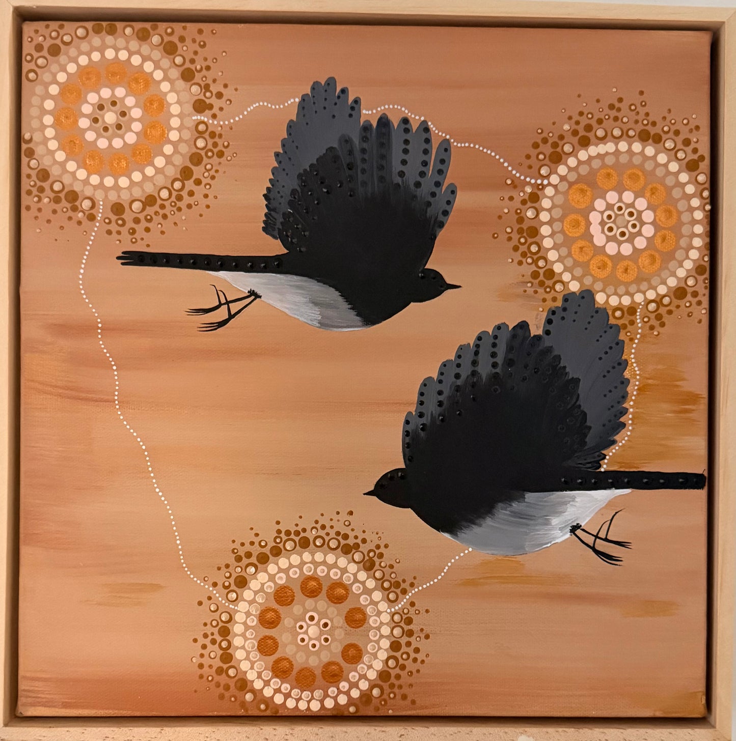 Willy Wagtail Collection